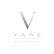 VANE ENTERPRISES silver logo on transparent background